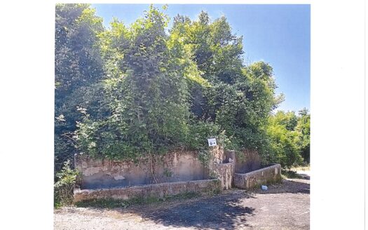 Compendio immobiliare, composto da HA 63 totali di terreno