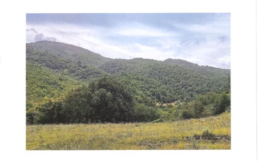 Compendio immobiliare, composto da HA 63 totali di terreno